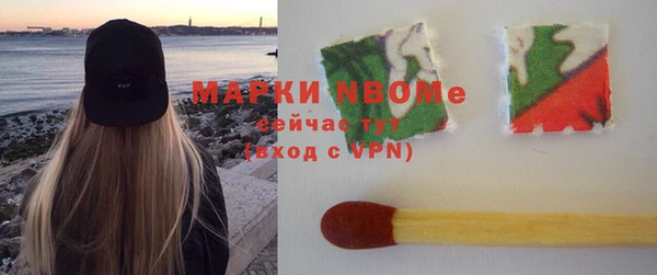 гидра Инсар
