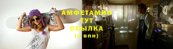 крисы Каменногорск