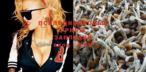 MDMA Premium VHQ Волоколамск