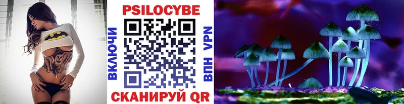 Галлюциногенные грибы Psilocybine cubensis Кумертау